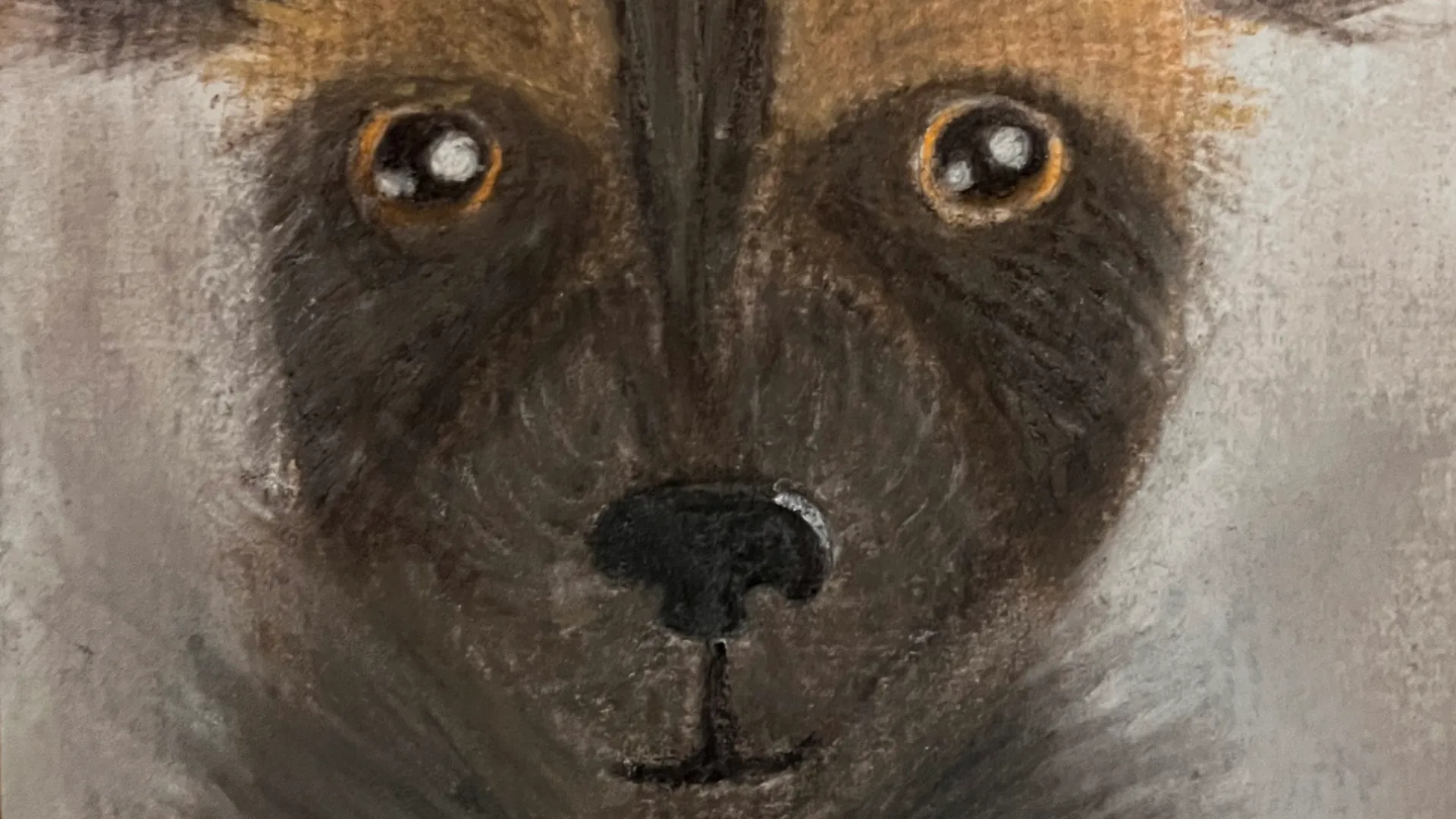 Afrikanischer Windhund